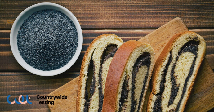 Do Poppy Seeds Cause a Failed Drug Test? Separating Myth from Fact