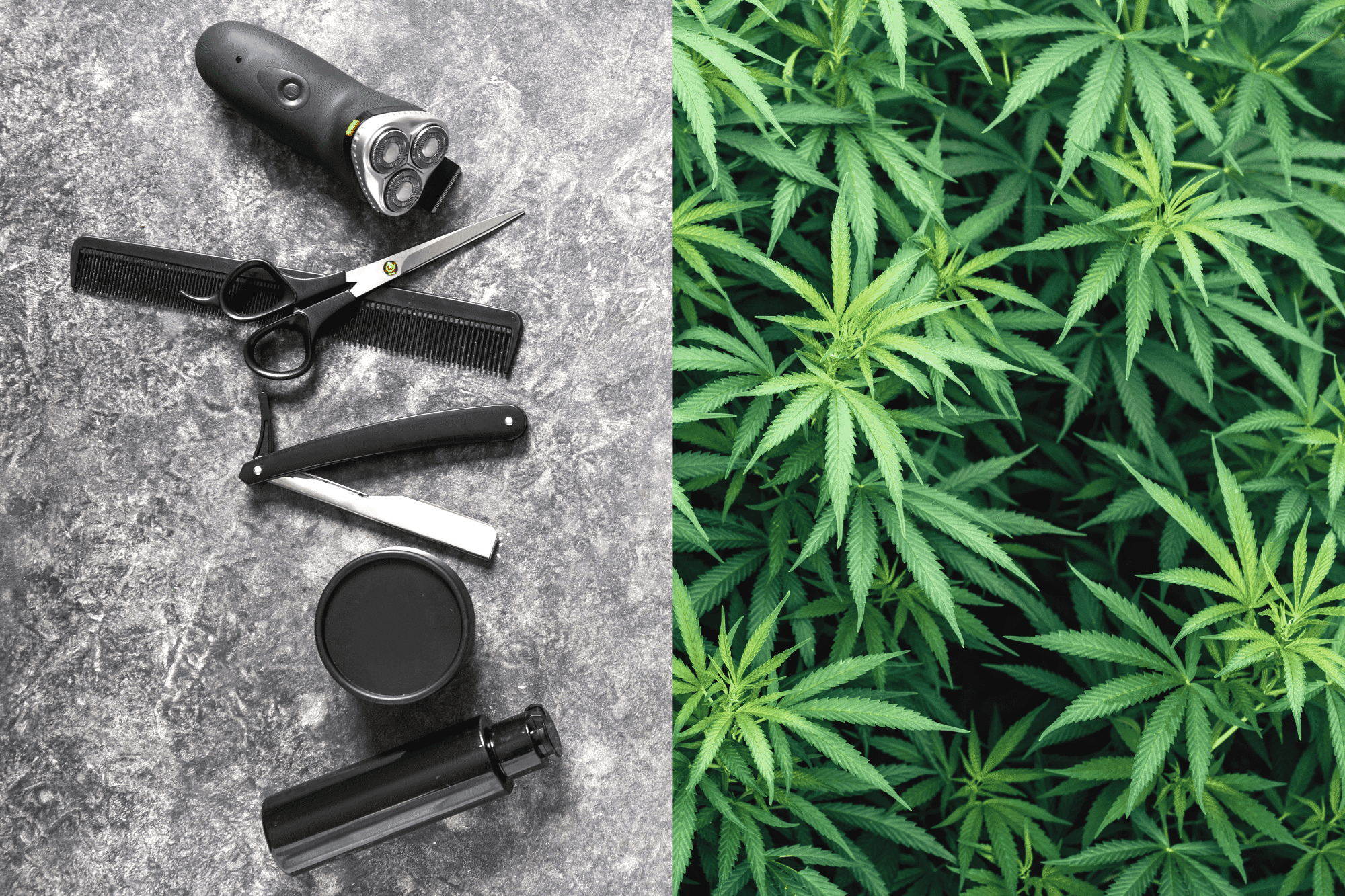 Strategies on How to Pass a Hair Drug Test for Weed Strategies on How to Pass a Hair Drug Test for Weed