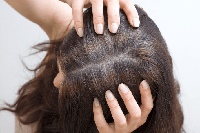What You Need to Know Before Taking a Hair Follicle Drug Test