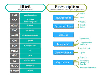 Load image into Gallery viewer, ezHOME Hair Follicle Test - 9950-Countrywide Testing