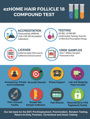 Load image into Gallery viewer, ezHOME Hair Follicle Test - 9950-Countrywide Testing